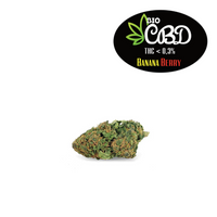 Banana Berry CBD