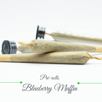 Pré rolls - Blueberry Muffin