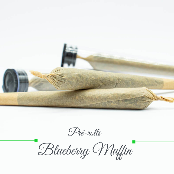 Pré rolls - Blueberry Muffin