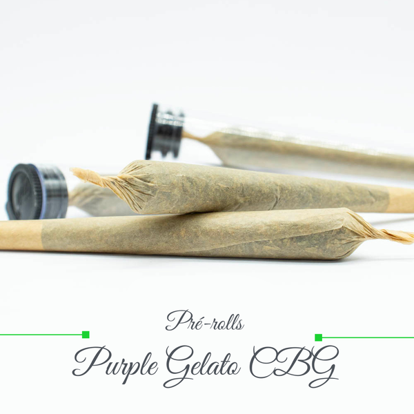 Pré rolls - Purple Gelato CBG 16%