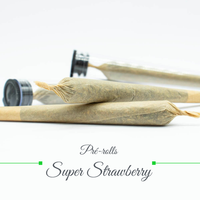 Pré Rolls - Super Strawberry 14%