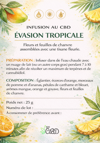 Infusion CBD "Evasion Tropical"