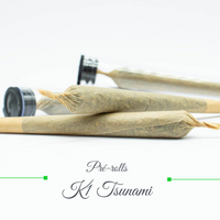 Pré rolls - K1 Tsunami