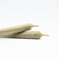 Pré rolls - Critical THZ