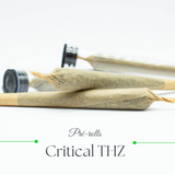 Pré rolls - Critical THZ