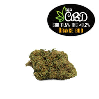 Orange Bud CBD